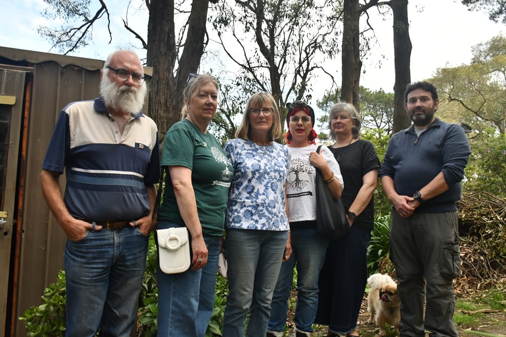 Residents concerned about habitat loss as trees face the axe post image