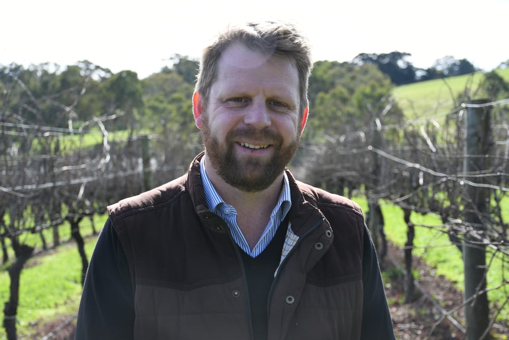 Major rise in value for Hills white wine grapes post image