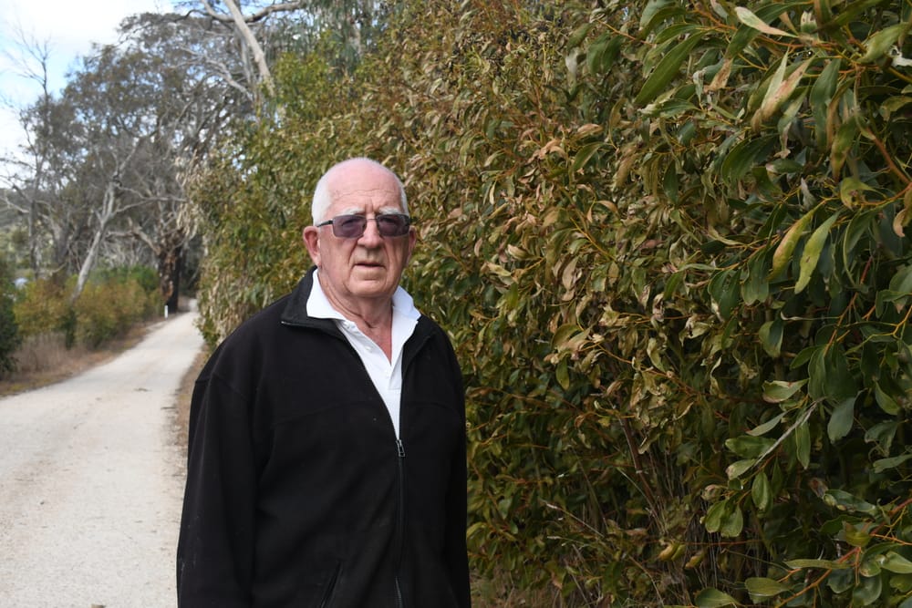 Mystery surrounds poisoned trees post image