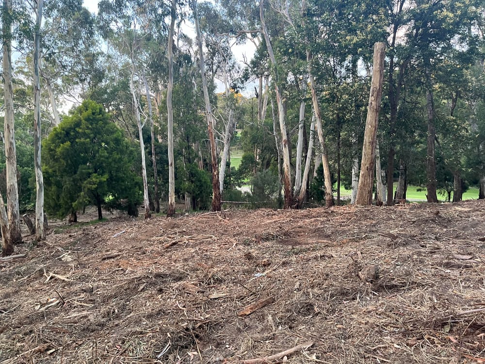 Owner of golf estate cleared of wrongful clearing post image