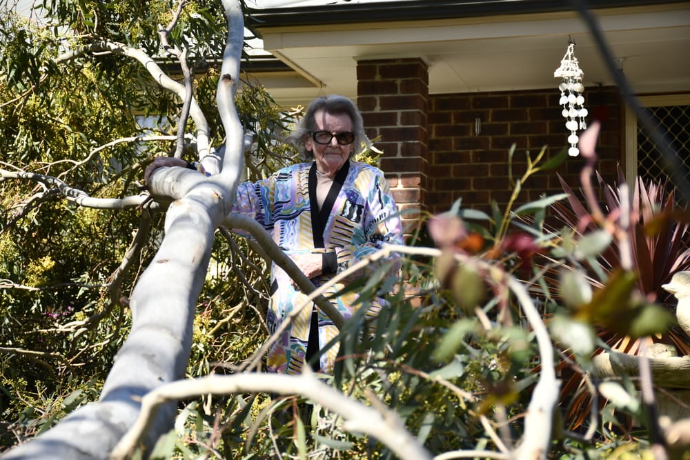 Narrow escape: wind gusts bring trees down post image