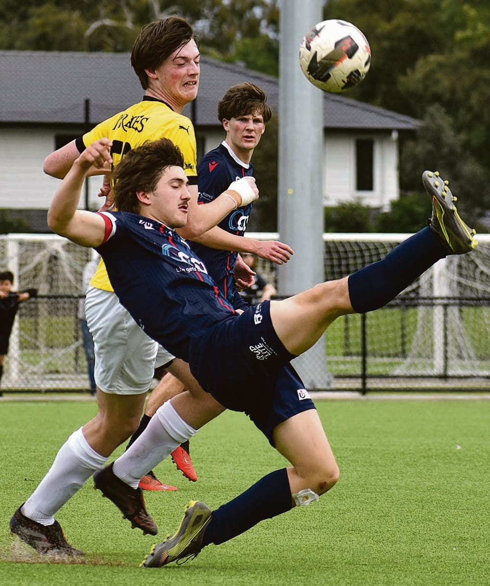 Title bid for young Hawks post image