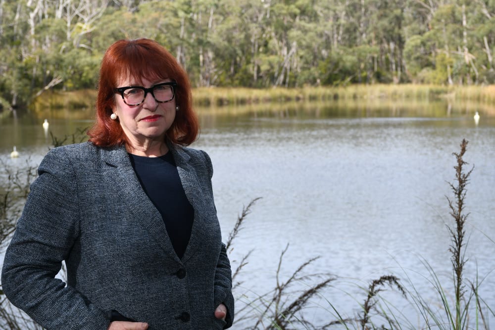 Mayor's farewell: Adelaide Hills Mayor says position 'untenable' post image