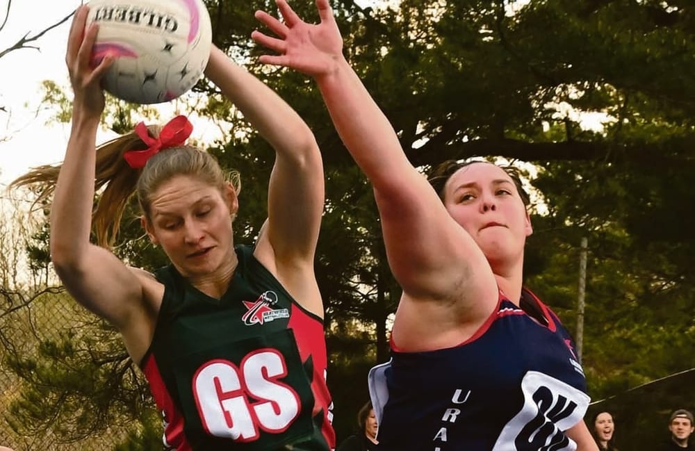 Finals shine for Stars post image