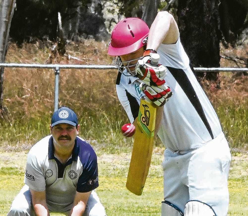 Skunks smell sweet post image