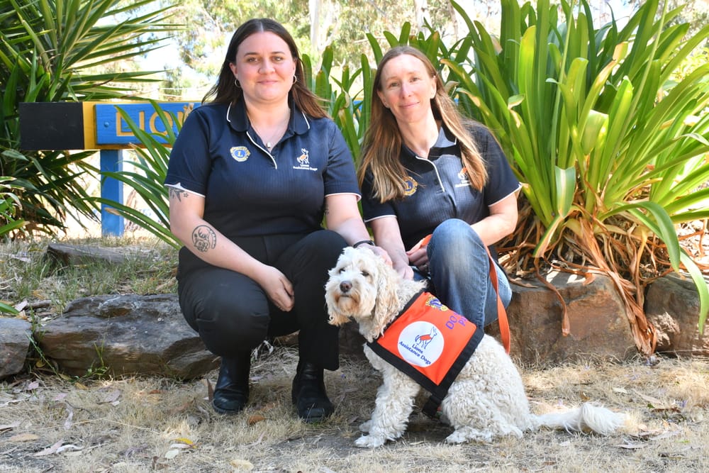 Council contributes to assistance dog training centre post image