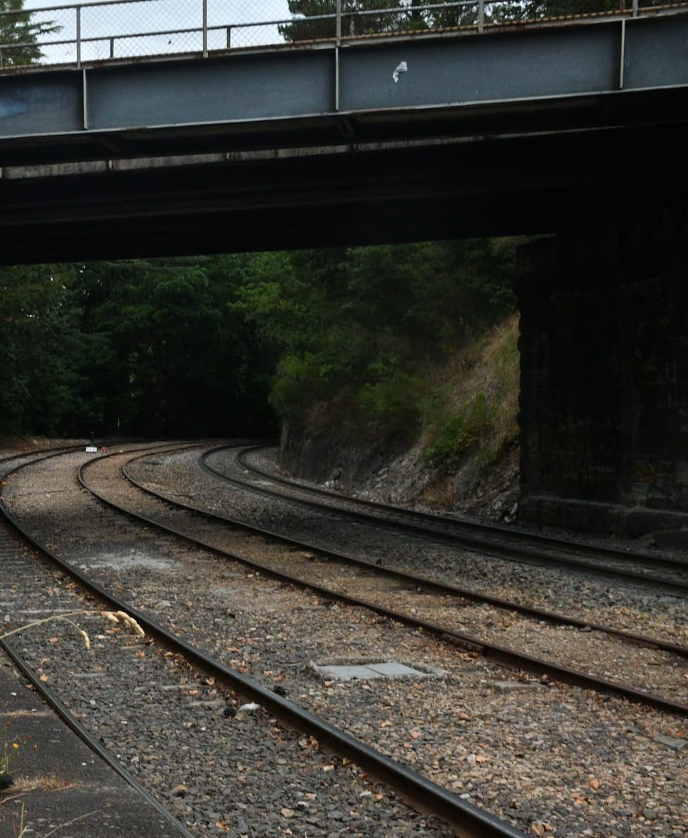 Project Peregrine proposes 22-minute train post image