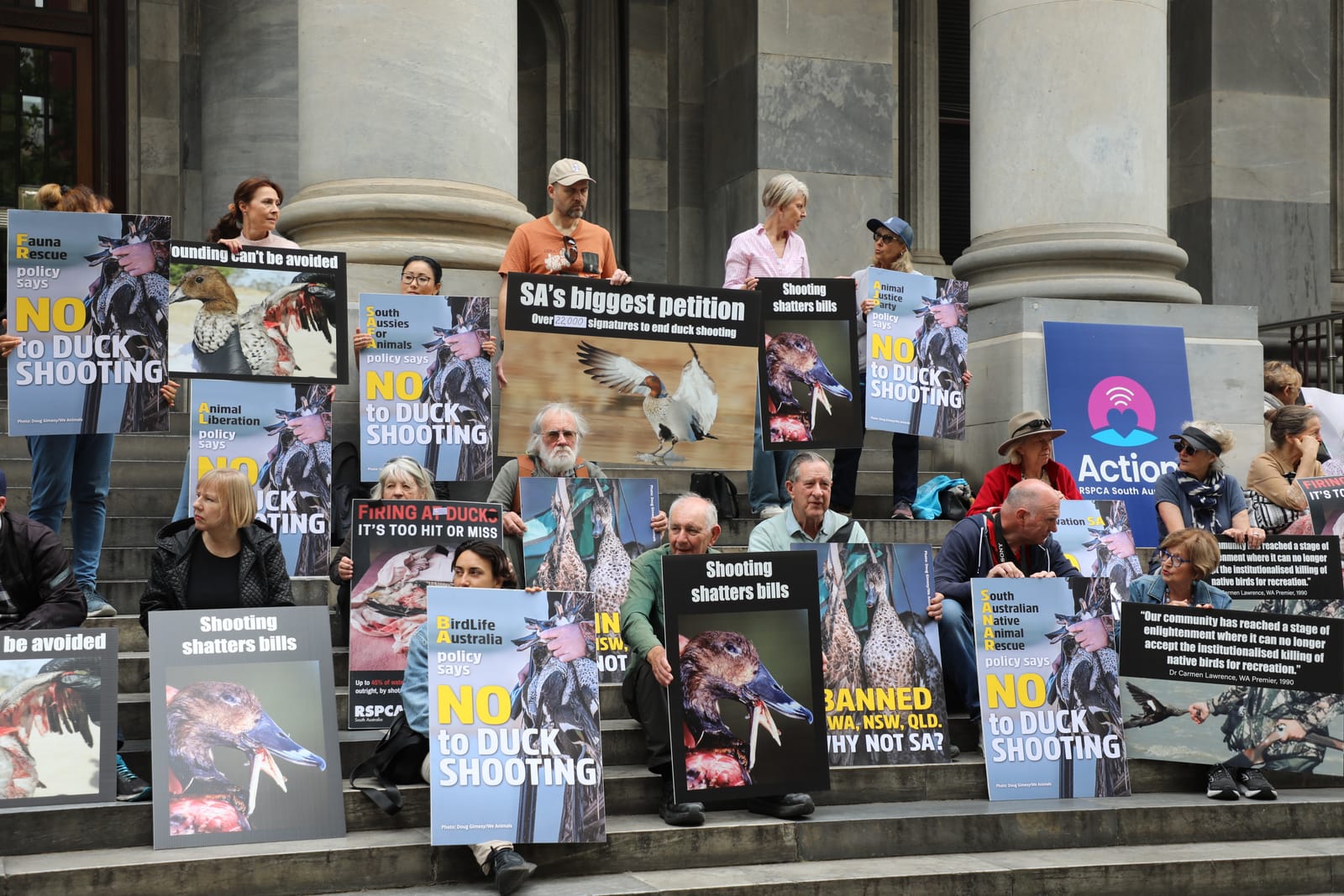 Protesters push for duck hunting ban post image