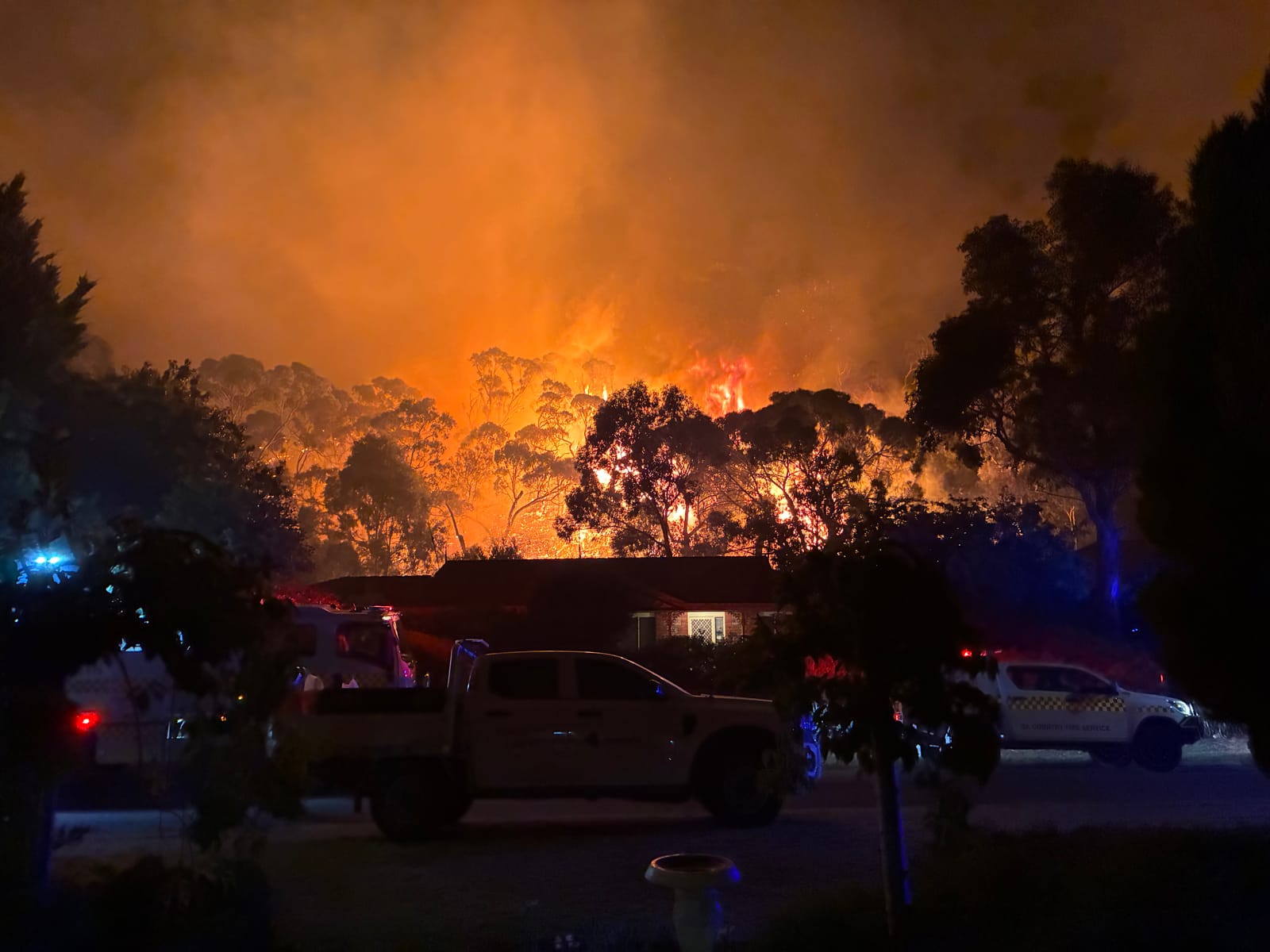 Firefighters save homes as residents evacuated post image