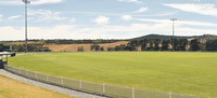 Cricket in to bat at Summit post image