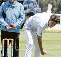 Warriors on the board post image