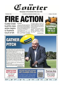 The Courier, November 19, 2025 post image