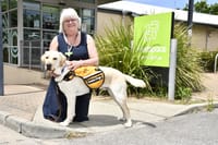 Support dog joins headspace post image