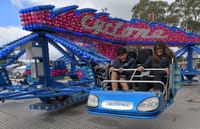 Along for the ride post image