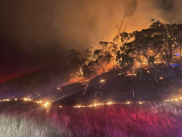 Fire sparks complacency warning post image