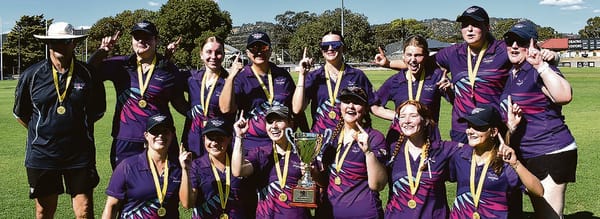 Falcons fly high post image