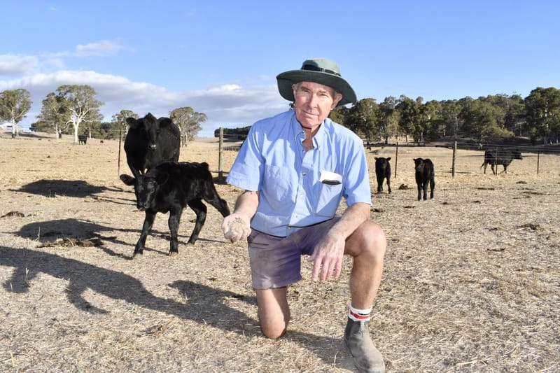 Farmers say drought Trumps tariffs post image