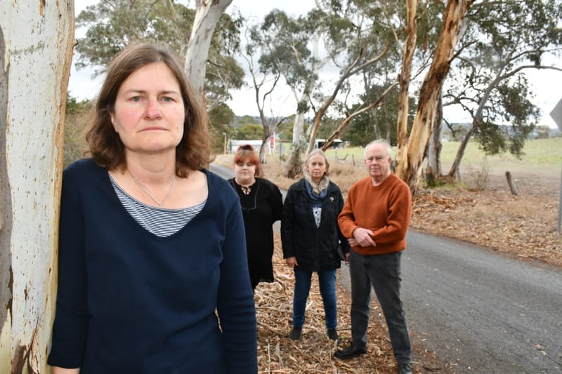 Residents push to save heritage trees post image