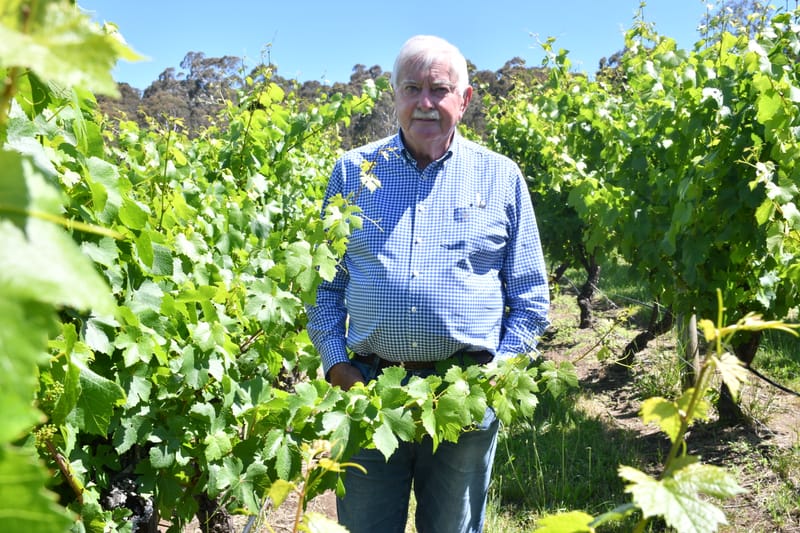 Chardy master post image