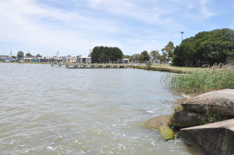 Warning over algae bloom post image
