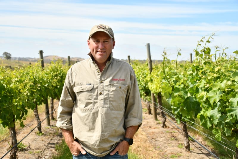 Innovative use found for smoke tainted grapes post image