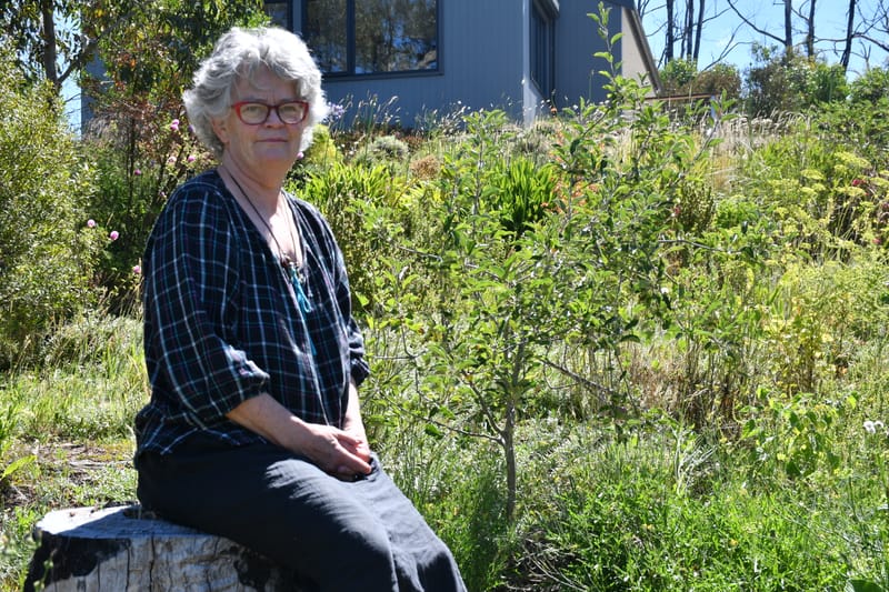 Community still recovering from Cudlee Creek fire post image