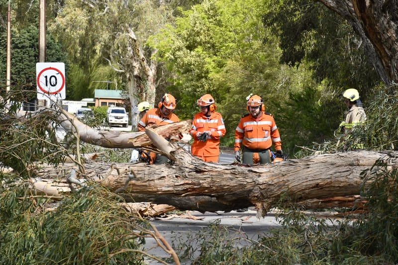 Disaster zone: Insurance claim data show Hills towns among worst affected by weather disasters post image