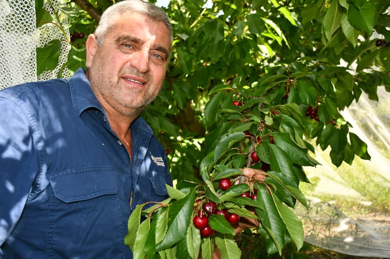 Cherry season delayed, but warm weather a boost post image