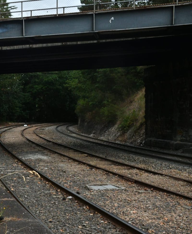 Project Peregrine proposes 22-minute train post image